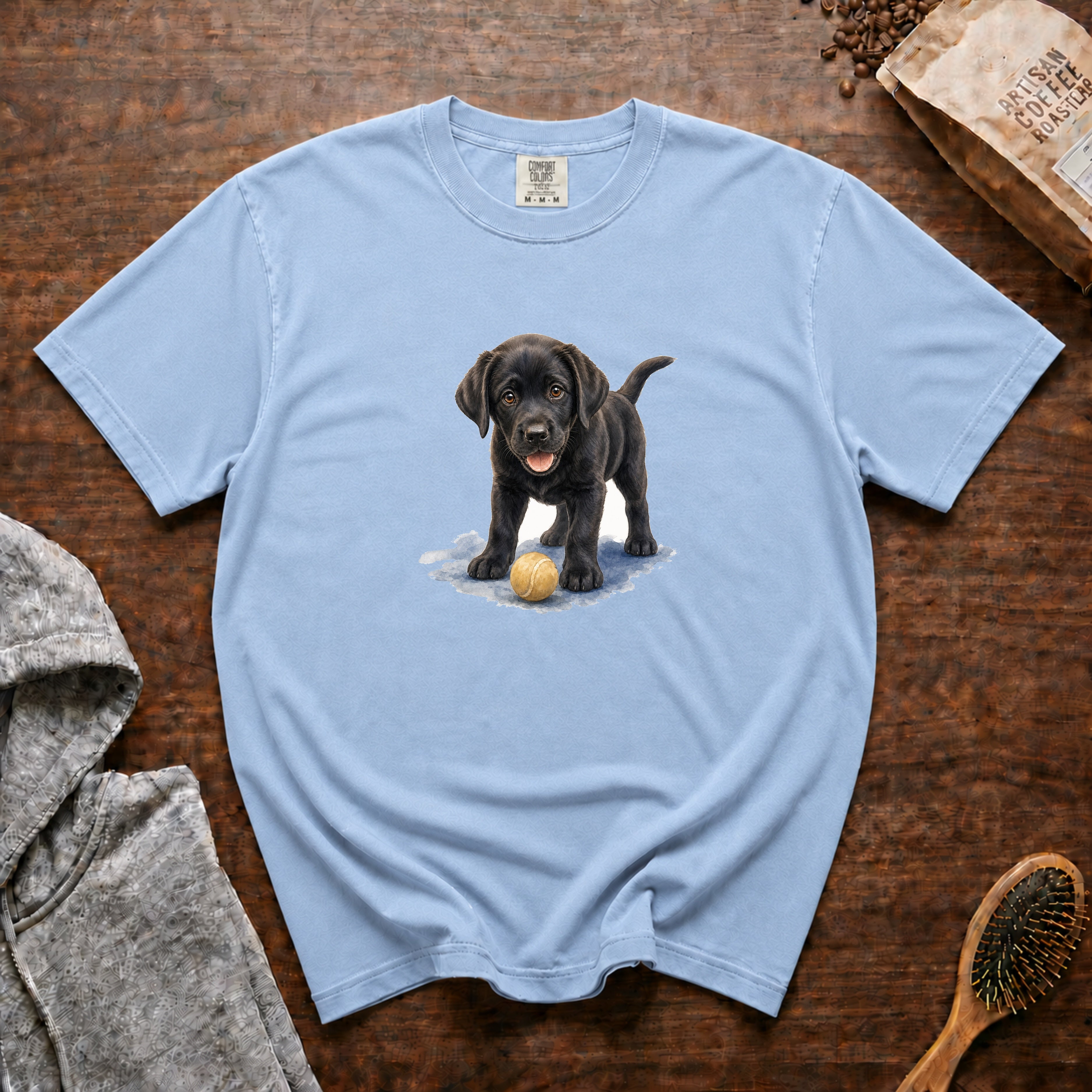 Black Lab And A Ball T-Shirt — Chambray