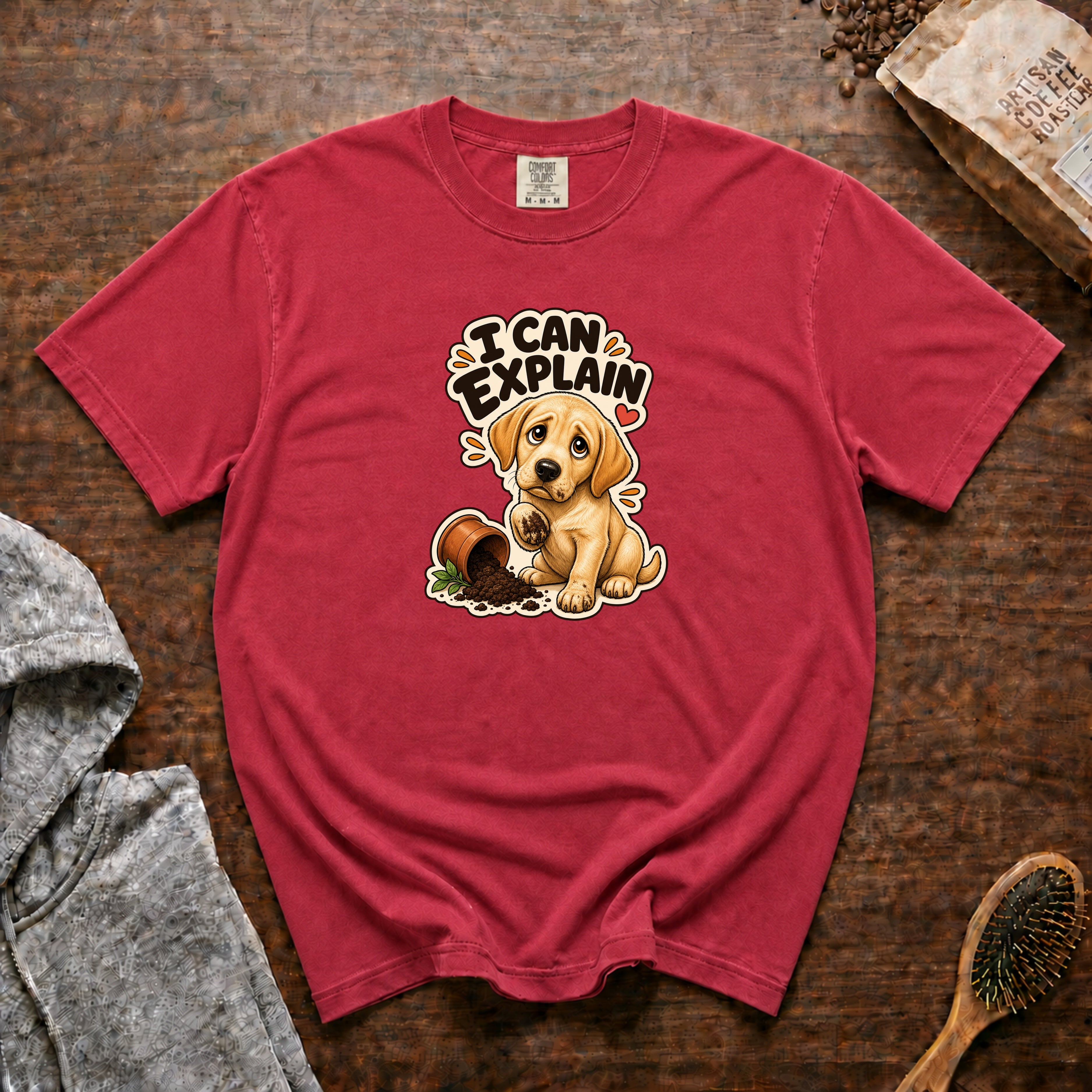 I Can Explain T-Shirt — Crimson