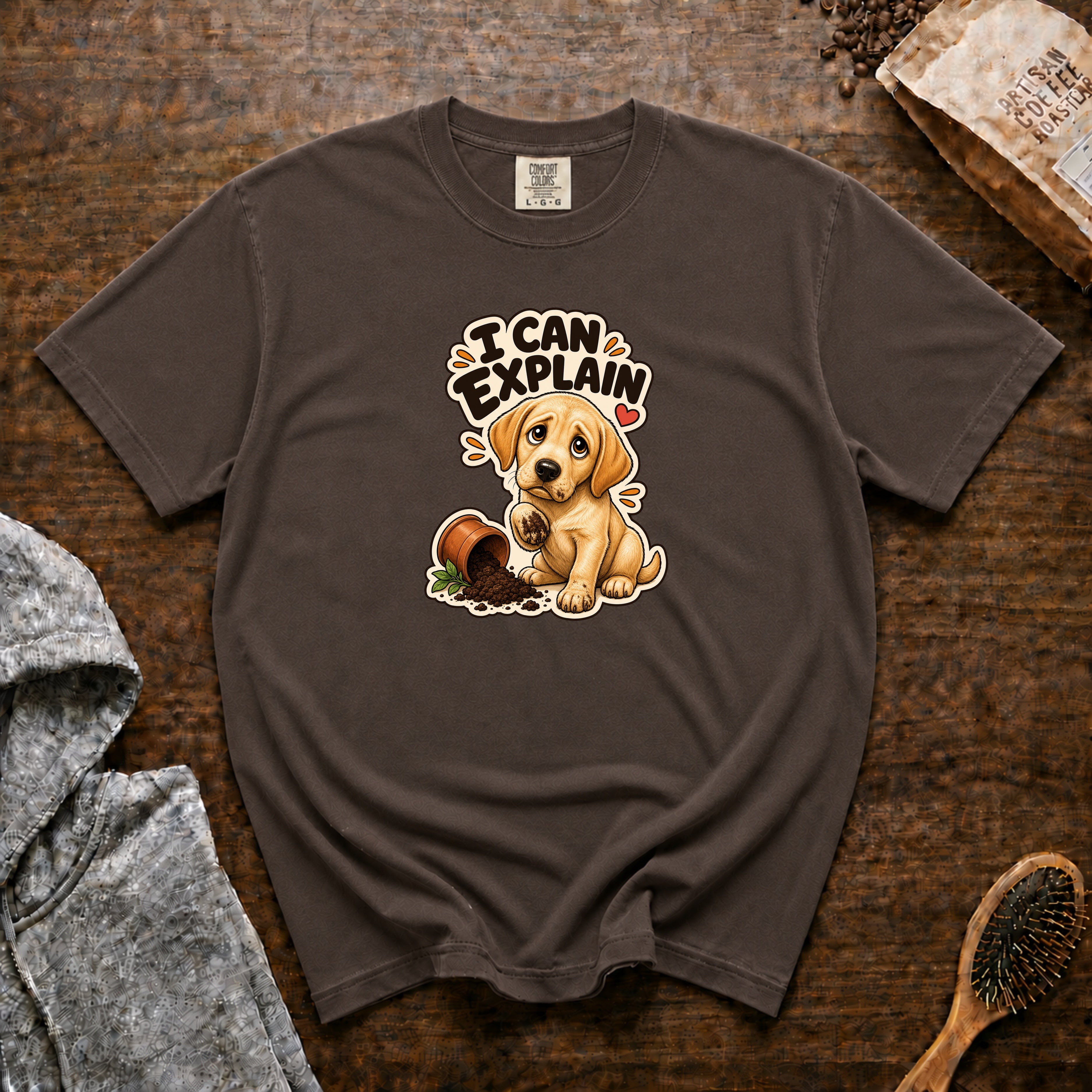 I Can Explain T-Shirt — Espresso