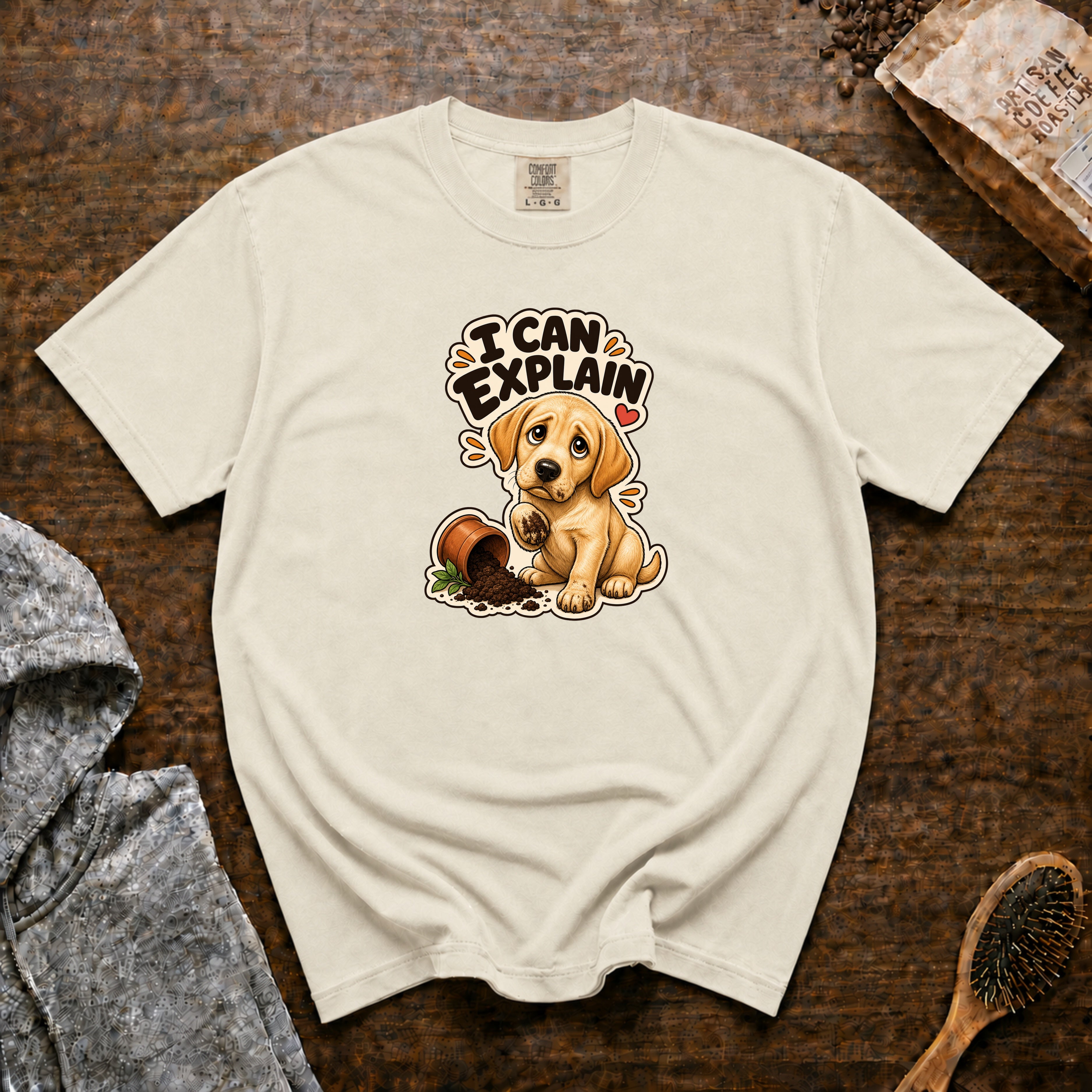 I Can Explain T-Shirt — Ivory